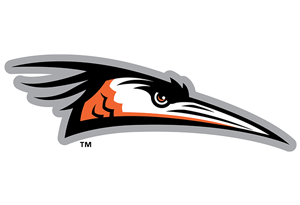 Delmarva ShoreBirds