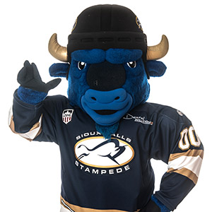 Stomp – Sioux Falls Stampede