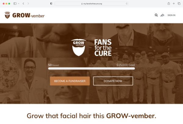 Support GROW-vember by growing facial hair and fundraising